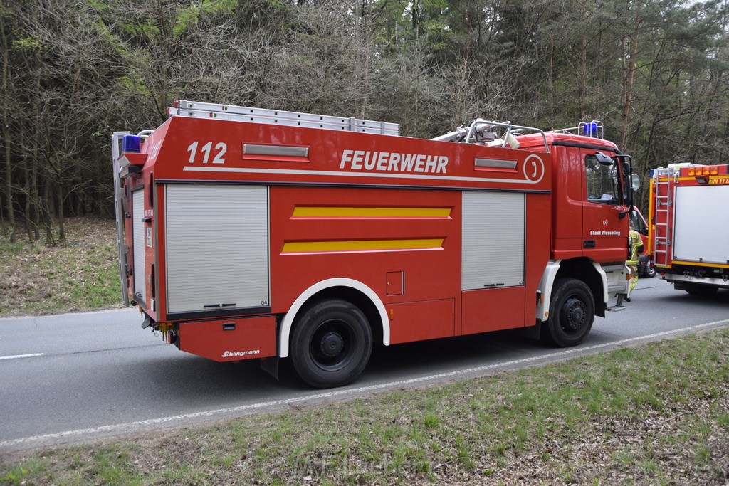 Waldbrand Wahner Heide Troisdorf Eisenweg P304.JPG - Miklos Laubert